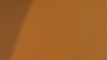 Ángela Aguilar, cantante mexicana