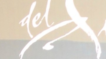 Carolina Sandoval, presentadora venezolana de televisión