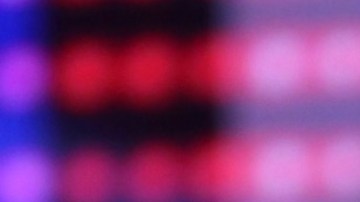 Chiquinquirá Delgado