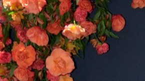 Clarissa Molina, presentadora de televisión