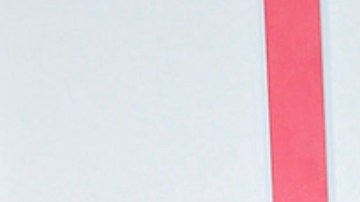 Lili Estefan, presentadora de televisión