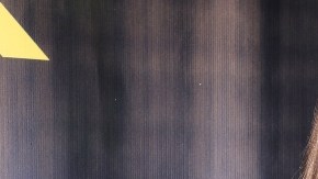 Migbelis Castellanos, presentadora venezolana de televisión