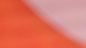 Ninel Conde, actriz mexicana