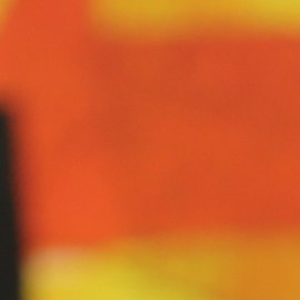 Rafael Araneda, presentador chileno de televisión