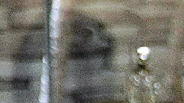 La primera actriz mexicana, Susana Dosamantes.