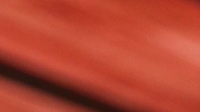 Francisca en Despierta América.