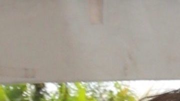 María Celeste Arrarás