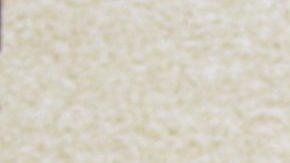 Elizabeth Gutiérrez y William Levy