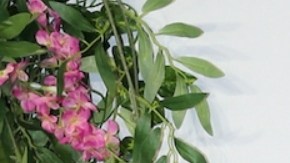 Lili Estefan, presentadora de televisión