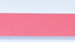 Lili Estefan, presentadora de televisión