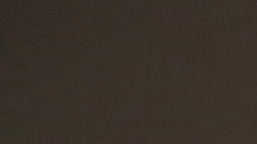 Migbelis Castellanos