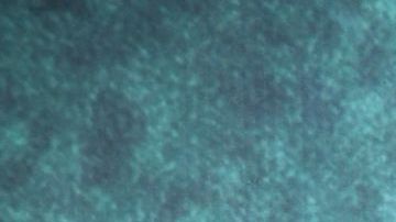 Camila Sodi, actriz mexicana