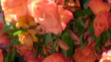 Clarissa Molina, presentadora de televisión