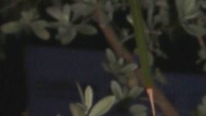 Daniella Navarro, actriz venezolana y participante de 'La Casa de los Famosos'