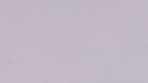 Aaron, Joey King, Brad Pitt y Bad Bunny en la alfombra roja de Bullet Train