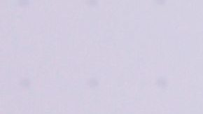 Jorge Bernal, presentador de televisión