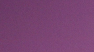 Karina Banda, presentadora mexicana de televisión