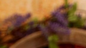 Kate del Castillo, protagonista de 'La Reina del Sur'