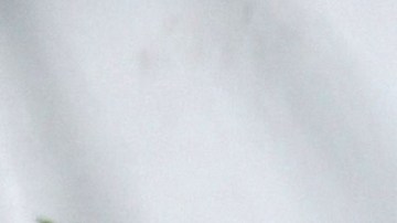 Laura Bozzo, presentadora de televisión