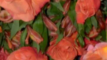 Pablo Montero, cantante y actor mexicano