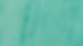 Alfonso 'Poncho' Herrera | Mezcalent