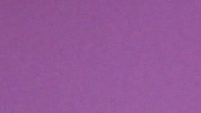 Carolina Sandoval, presentadora venezolana | Mezcalent