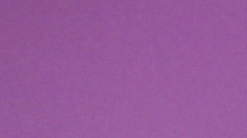 Carolina Sandoval, presentadora venezolana | Mezcalent