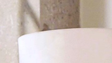 Altair Jarabo, actriz mexicana | Mezcalent