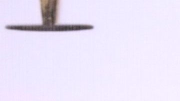 Cristian De La Fuente y su esposa.