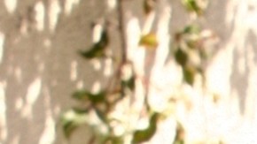 Andrés García, actor