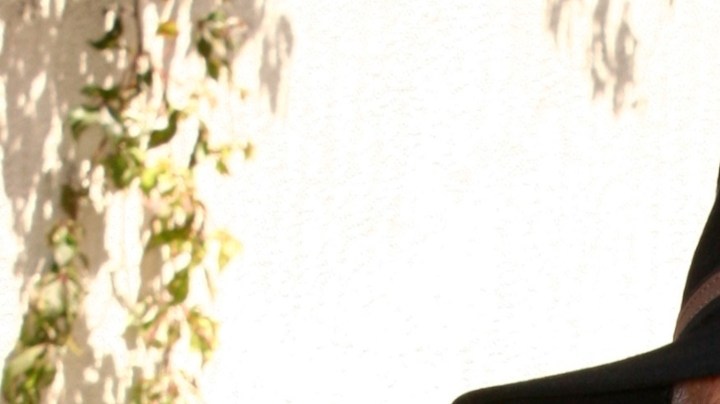 Andrés García, actor