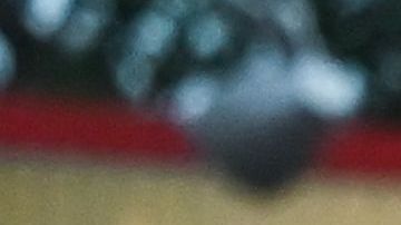 Ana de Armas, actriz cubana | (Photo by Andreas SOLARO / AFP) (Photo by ANDREAS SOLARO/AFP via Getty Images)