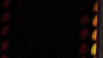 Ángela Aguilar, Leonardo Aguilar y Pepe Aguilar | (Photo by Kevin Winter/Getty Images)