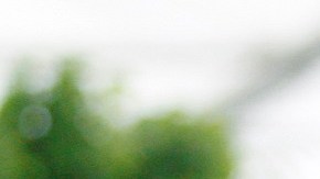 La reina Isabel II junto a su hijo mayor, el ahora rey Carlos III de Reino Unido.