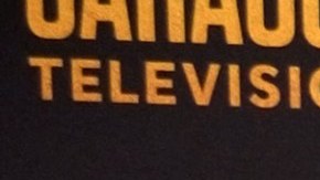 Jaime Camil, actor mexicano