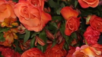 Lina Luaces, Lili Estefan