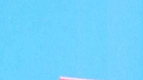 Roselyn Sánchez, actriz puertorriqueña