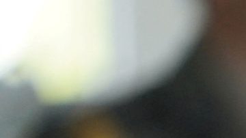 Reina Isabel II falleció este 8 de septiembre