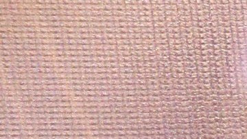 Yolanda Andrade, presentadora mexicana | Mezcalent