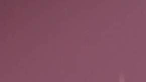 Adamari López, presentadora de televisión.