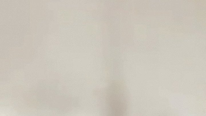 Alfredo Adame, actor mexicano