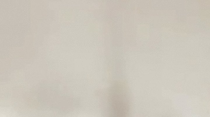 Alfredo Adame, actor mexicano
