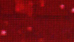 María Antonieta de las Nieves, intérprete de 'La Chilindrina'