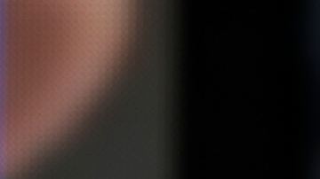 Chiquinquirá Delgado, presentadora venezolana de televisión.