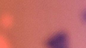 Galilea Montijo, presentadora mexicana de televisión