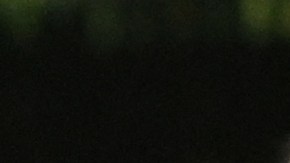 El rey Carlos III y su hijo, el príncipe Harry, durante el funeral de la reina Isabel II.