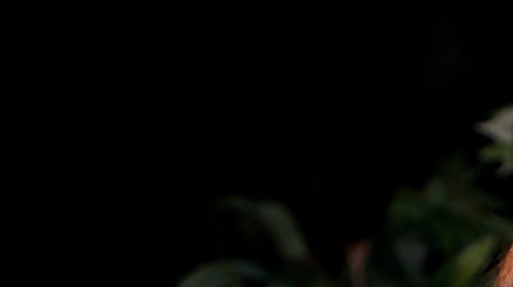 Karina Banda, presentadora mexicana de televisión.