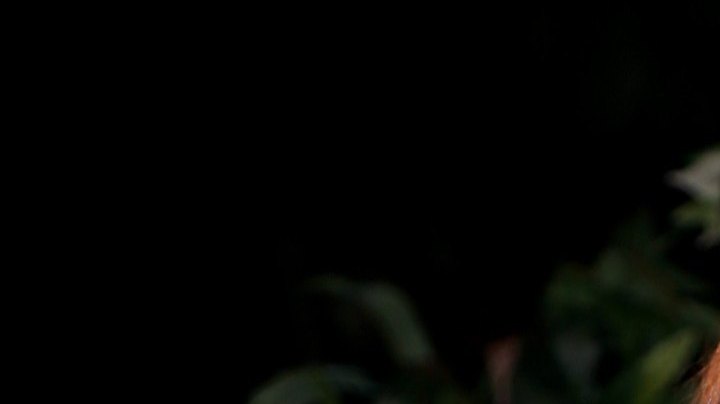 Karina Banda, presentadora mexicana de televisión.