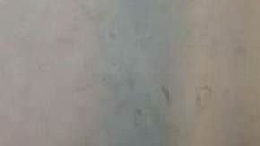 Livia Brito, actriz cubana