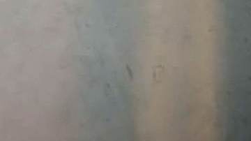 Livia Brito, actriz cubana